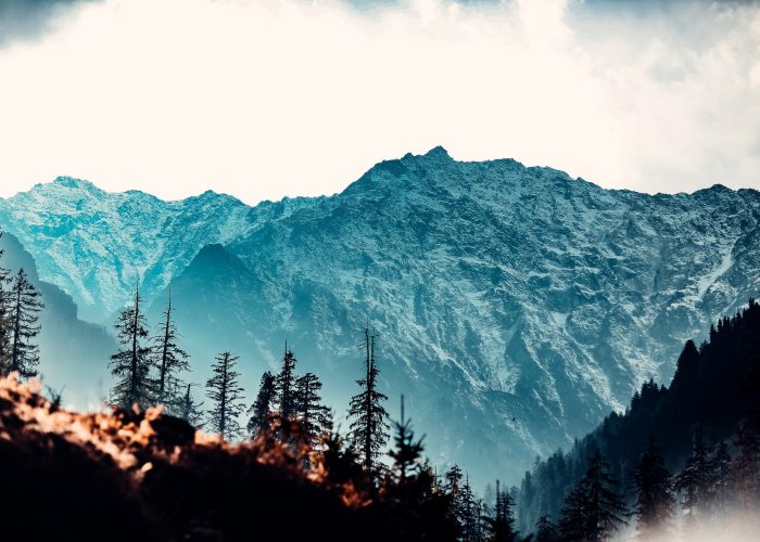 surya-teja-oIXJ839p55k-unsplash